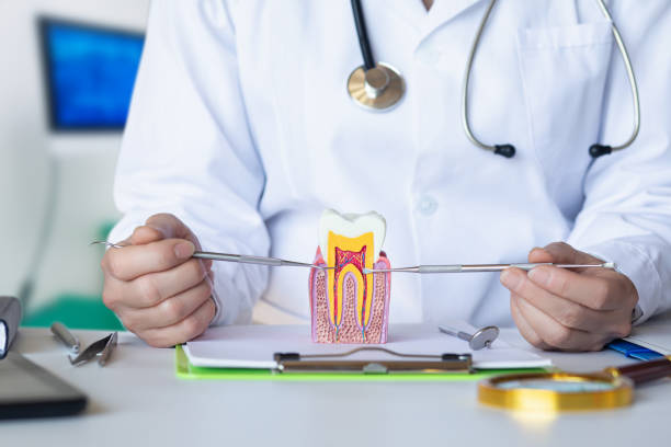 Best Emergency Dentist for Special Needs Patients in Clarksburg, MD